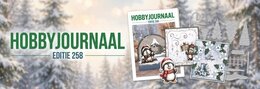 📕 Voor Tijdschriften: