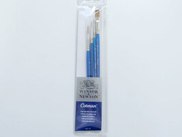 W&amp;N Cotman Penselenset 1-4-6 &amp; Plat 10 voor Aquarel en Meer