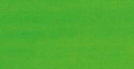 Pebeo Colorex Light Green