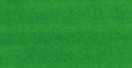 Pebeo Colorex Watercolor - Spring - Green