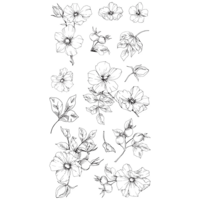 Sizzix Clear Stamps Wildflower Botanicals &ndash; 13 stuks &ndash; 666870