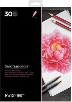 Spectrum Noir Premium Pencil Pad 9"x12" &ndash; 160 grams