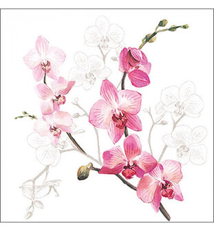 Orchid Decoupage Servetten &ndash; Elegant en Tijdeloos