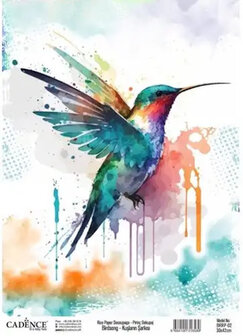 Cadence Birdsong transfer 30x42 cm &ndash; Kolibrivogels