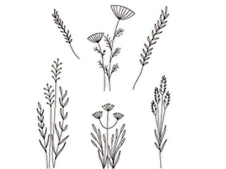 Clarity stamp MEADOW GRASSES STAMP SET
