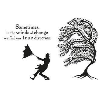 Clarity stamp Winds of change stamp set 127