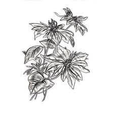 Sizzix 3 d Embossing folder texture fades mini poinsettia