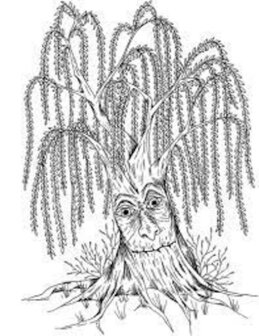 Crafty Individuals Wishing Willow