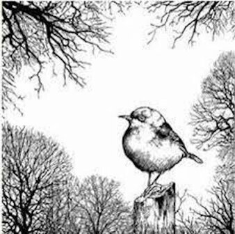 Crafty Individuals Dawn Serenity