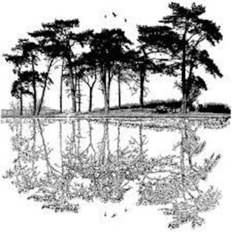 Dawn Reflections Unmounted Rubber Stamp