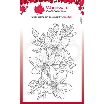 Woodware craft Garden Spray clear stempel