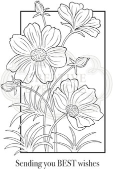 woodware craft clear stamp cosmos collection
