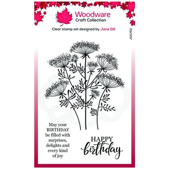 Woodware cCaft Queen Ann 's lace clear stamp