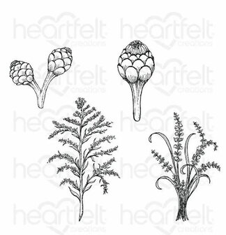 Heartfelt Creations Floral Shoppe Fillers bundel &ndash; stempel + snijmal