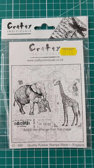 Adventure: See the World on Safari