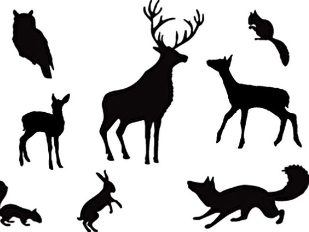 Clarity stamp woodland animals stempelset