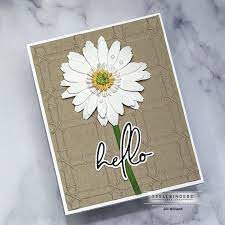 Spellbinders 3 D embossing folder Bamboo Trellis