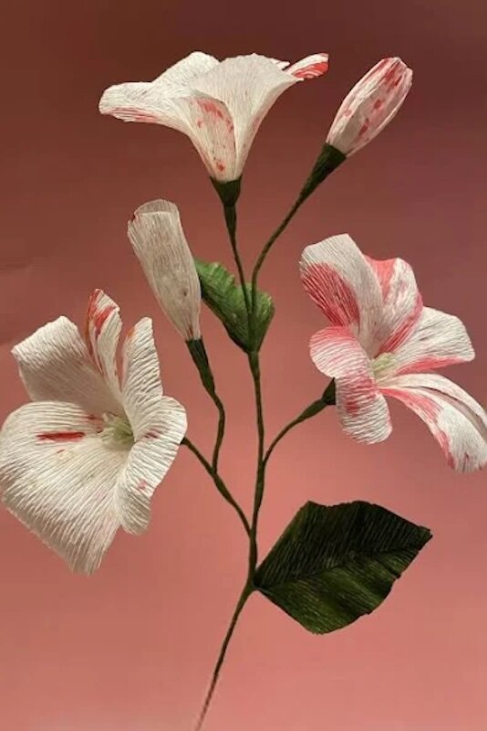 3D-bloemen-maken-van-papier-crêpepapier-en-foam-ontdek-deze-creatieve-techniek