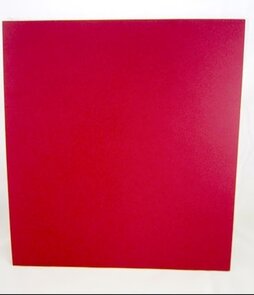 Bazzill mono cardstock t2-222 watermelon