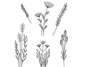 Clarity stamp MEADOW GRASSES STAMP SET