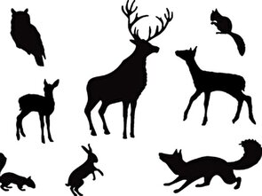 Clarity stamp woodland animals stempelset