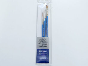 W&N Cotman Penselenset 1-4-6 & Plat 10 voor Aquarel en Meer