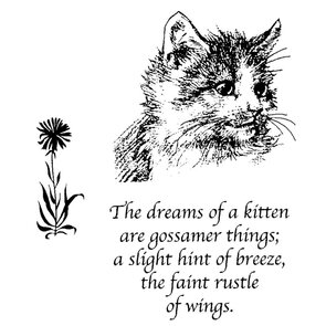 Clarity stamp Kitten stempelset