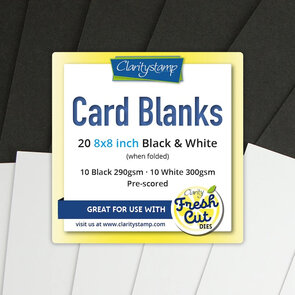 Clarity Card Blanks 8" x 8" – Zwart & Wit – 20 stuks (10 van elk)