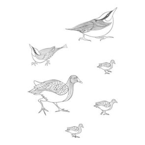 moorhens en nut hatches mask