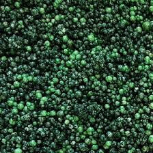 Mini Prills Spruce Willis