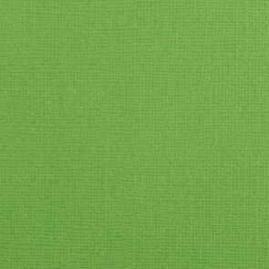 Cardstock 12x12" - Glad - Frog - Florence