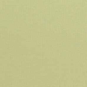   Cardstock 12x12" - Structuur - Salamander - Florence