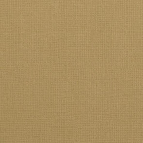  Cardstock 12x12"  - Structuur - Peanut - Florence