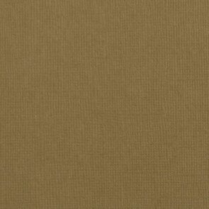 Cardstock 12x12" - Structuur - Lion - Florence