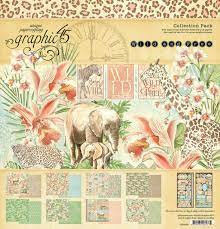  Paper Pad 12x12" - Wild & Free - Graphic 45