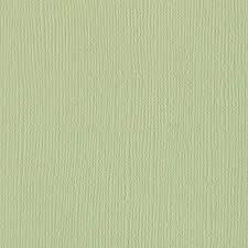 Cardstock 12x12" -  Mono Canvas  -Aloe Vera - Bazzill