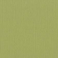  Cardstock 12x12" -  Mono Canvas - Parakeet - Bazzill