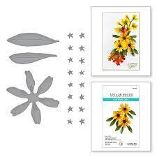 Spellbinders Susan’s Garden snijmal Black-eyed Susan kopen – bloemen snijmal