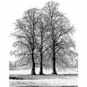 Tree Trio Unmounted Rubber Stamps