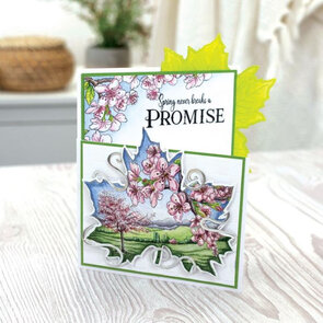 Sheena Douglass spring blossom timeless leaves stempelset