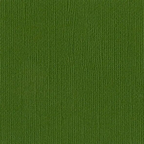  cardstock 12x12" - Mono Canvas - Ivy - Bazzill 