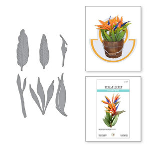 Spellbinders Susan’s Garden snijmal Bird of Paradise kopen – bloemen snijmal