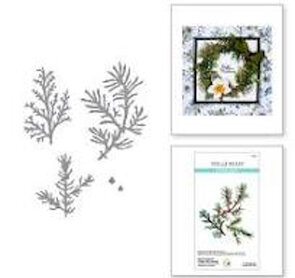 Spellbinders Susan’s Garden snijmal Winter Evergreen Foliage & Ladybugs kopen – bladeren en lieveheersbeestjes