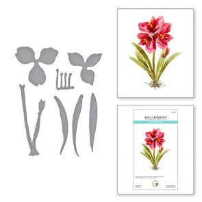 Spellbinders Amaryllis snijmal - Susan's Garden Collectie