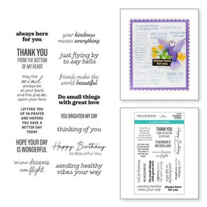 Spellbinders Bibi's Hummingbirds Sentiments Clear Stamp (STP-169)