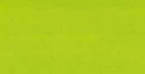 Pebeo Colorex Yellow Green