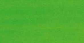 Pebeo Colorex Light Green