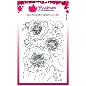 Woodware craft Zinnia clear stempel