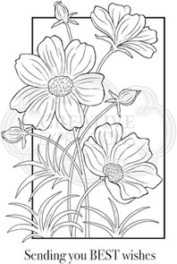 woodware craft clear stamp cosmos collection