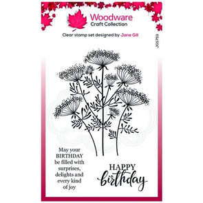 Woodware cCaft Queen Ann 's lace clear stamp